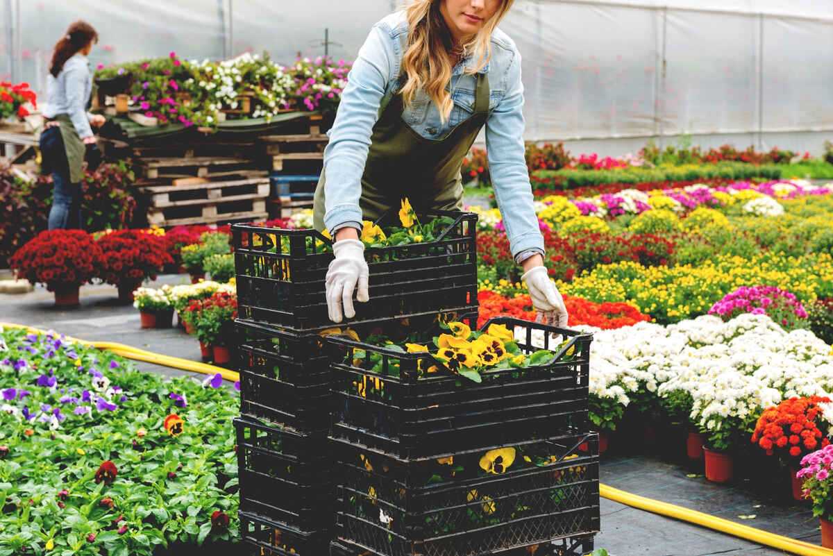 stack-the-crates-with-flowers-2022-12-22-20-23-07-utc